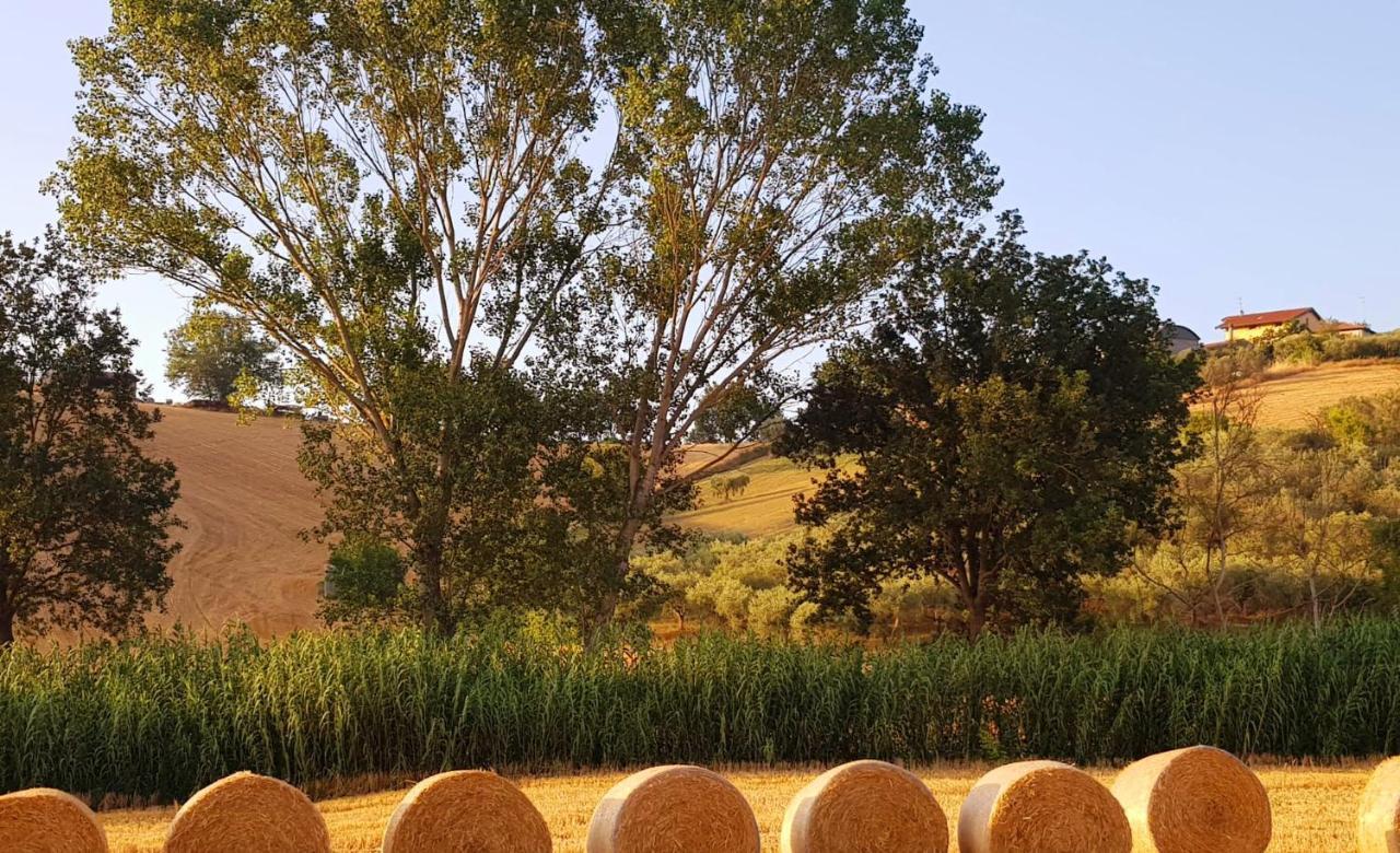 Country-House Pecora Nera Guest House Mosciano SantʼAngelo Exterior foto