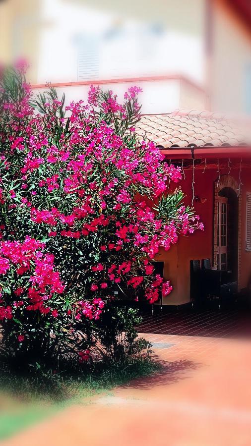 Country-House Pecora Nera Guest House Mosciano SantʼAngelo Exterior foto