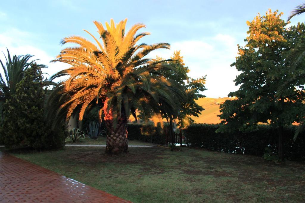 Country-House Pecora Nera Guest House Mosciano SantʼAngelo Exterior foto