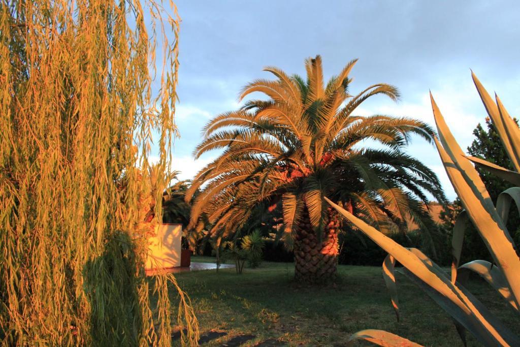 Country-House Pecora Nera Guest House Mosciano SantʼAngelo Exterior foto